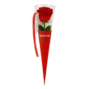 Roter Blumenhalter aus Karton